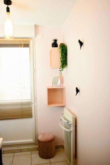 Le Rosa Bonheur Apartment น็องต์ ภายนอก รูปภาพ