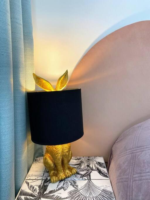 Le Rosa Bonheur Apartment น็องต์ ภายนอก รูปภาพ